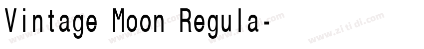 Vintage Moon Regula字体转换